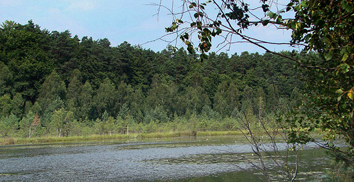 Jezioro Luba - "Rezerwat Jasne"
