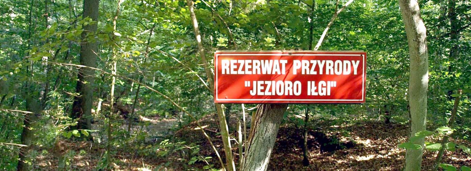Rezerwat Jezioro Iłgi na Pojezierzu Iławskim