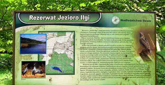 Rezerwat Jezioro Iłgi na Pojezierzu Iławskim